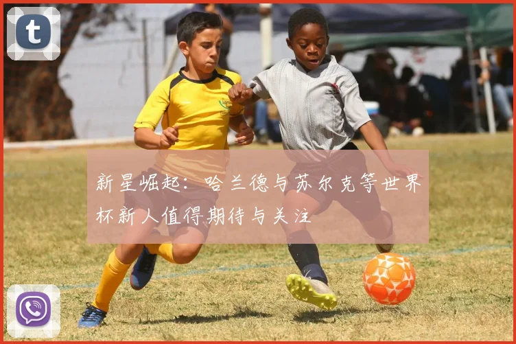 新星崛起：哈兰德与苏尔克等世界杯新人值得期待与关注