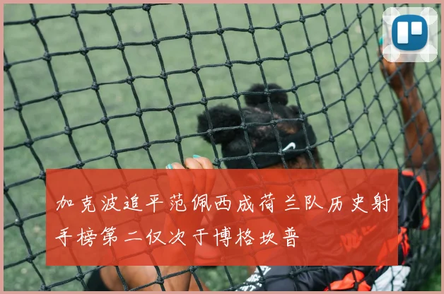加克波追平范佩西成荷兰队历史射手榜第二仅次于博格坎普